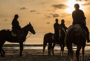 Passeggiate sul mare a cavallo - Colle Cavalieri